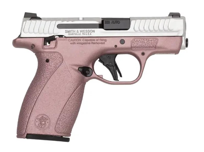 Smith & Wesson Bodyguard Handgun .380 ACP 2.75 in Barrel