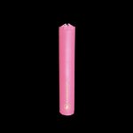 WhisperChicks Whisper 22 Suppressor Pink