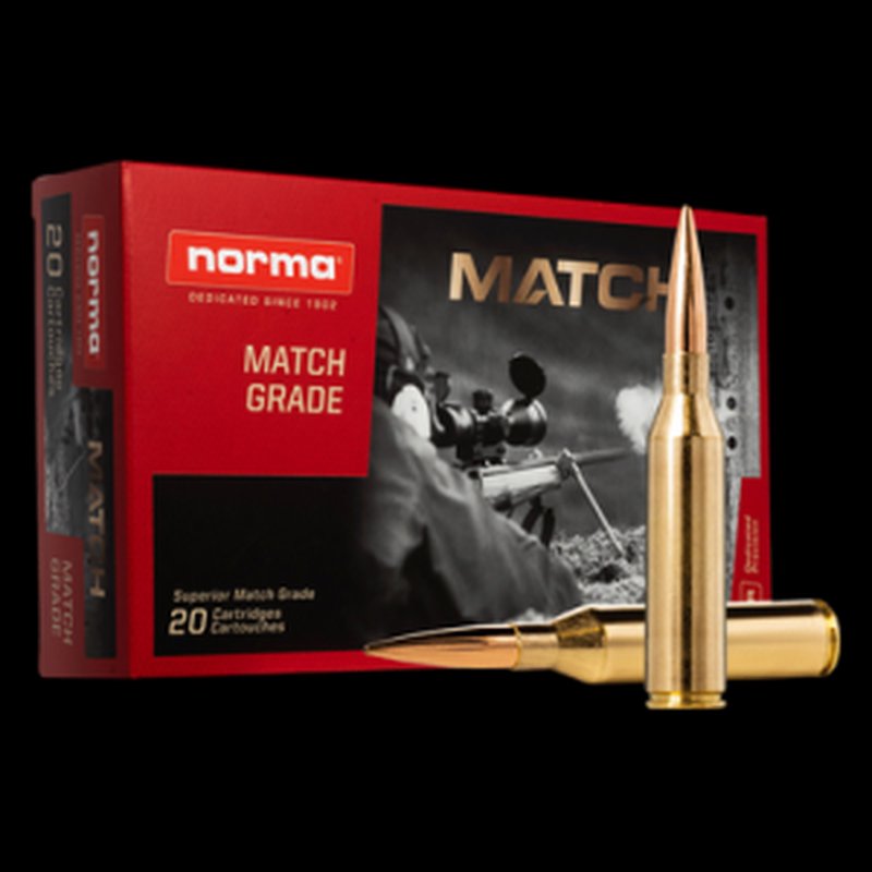 Norma 20174602 Golden Target Match 300 Norma Mag 230gr HPBT 20rd