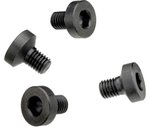 Contessa Rail Screws Set of 4