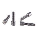 12 Buttplate Screws