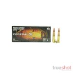 Federal Fusion 300 Blackout Subsonic 190 Grain Fusion Tipped