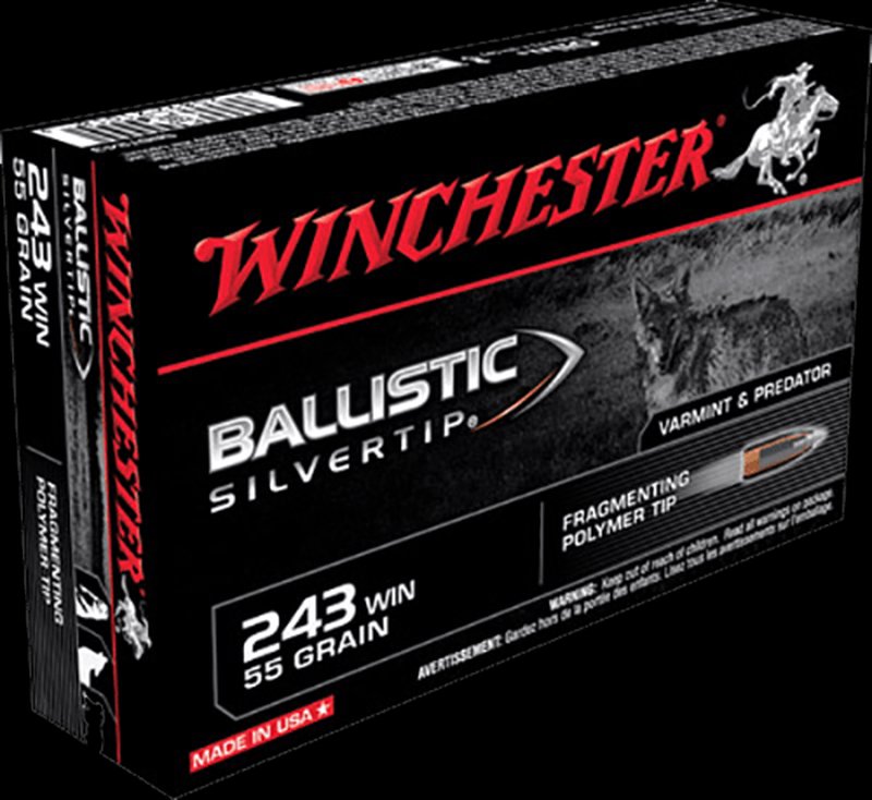 Winchester Ballistic Silvertip .243 Win Ammunition