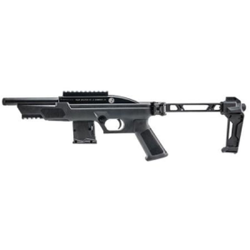 Rossi RS22P 22LR Semi-Auto Rimfire Pistol with Threaded Barrel and Strike Industries Brace
