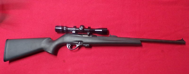 Remington 597 .22 LR Rifle 20-Inch Barrel With Bushnell Scope