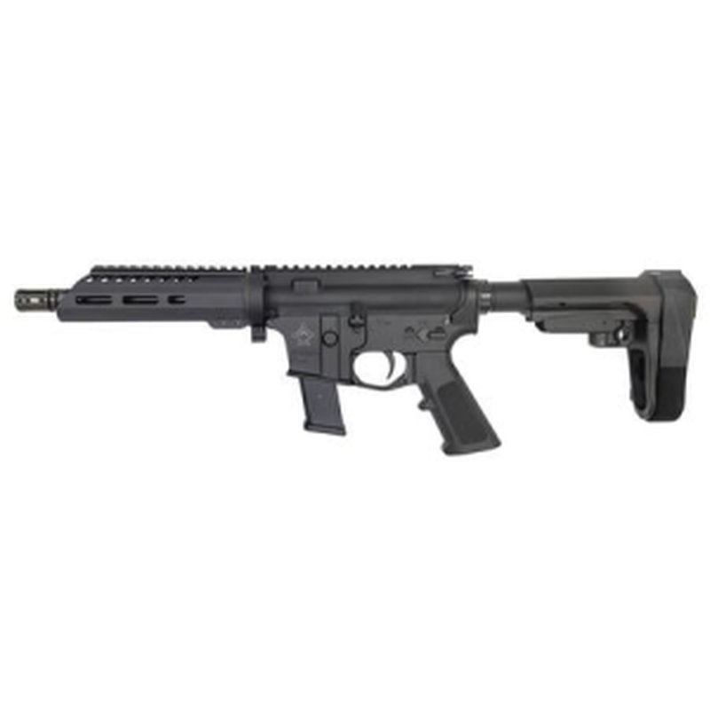 Diamondhead Transporter 9mm AR Pistol Takedown Model