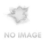 Ergo 4231BK ERGO KEYMOD MINI MAX VFG BK