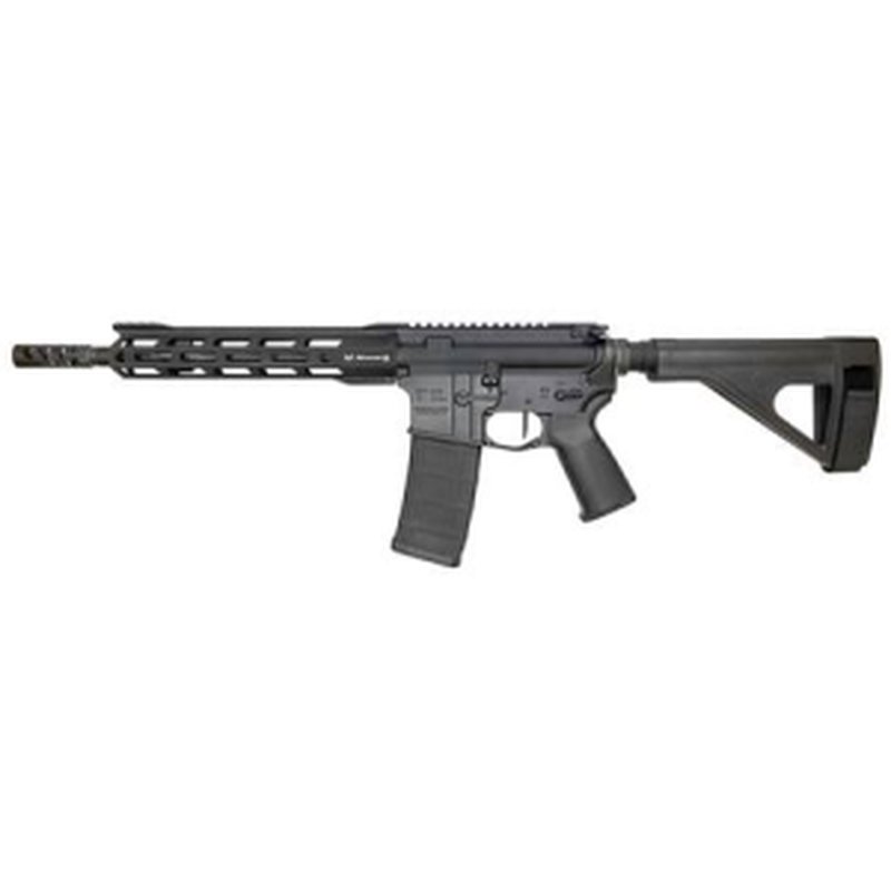 Rise Armament RA-300 223 Wylde AR Pistol with 11.5 in Barrel and SB Tactical Pistol Brace