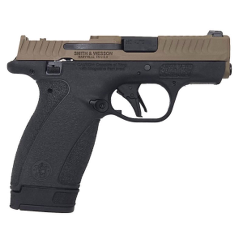 Smith & Wesson Bodyguard 2.0 Pistol .380 ACP 2.75" Barrel RMSC Optic Ready Cerakote Slide