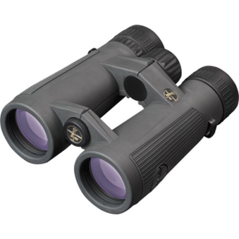 LEUPOLD BX-5 SAntiam HD 8x42mm Gray