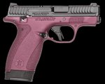 Smith & Wesson Bodyguard 2.0 Pistol .380 ACP 2.75" Barrel Black Cherry