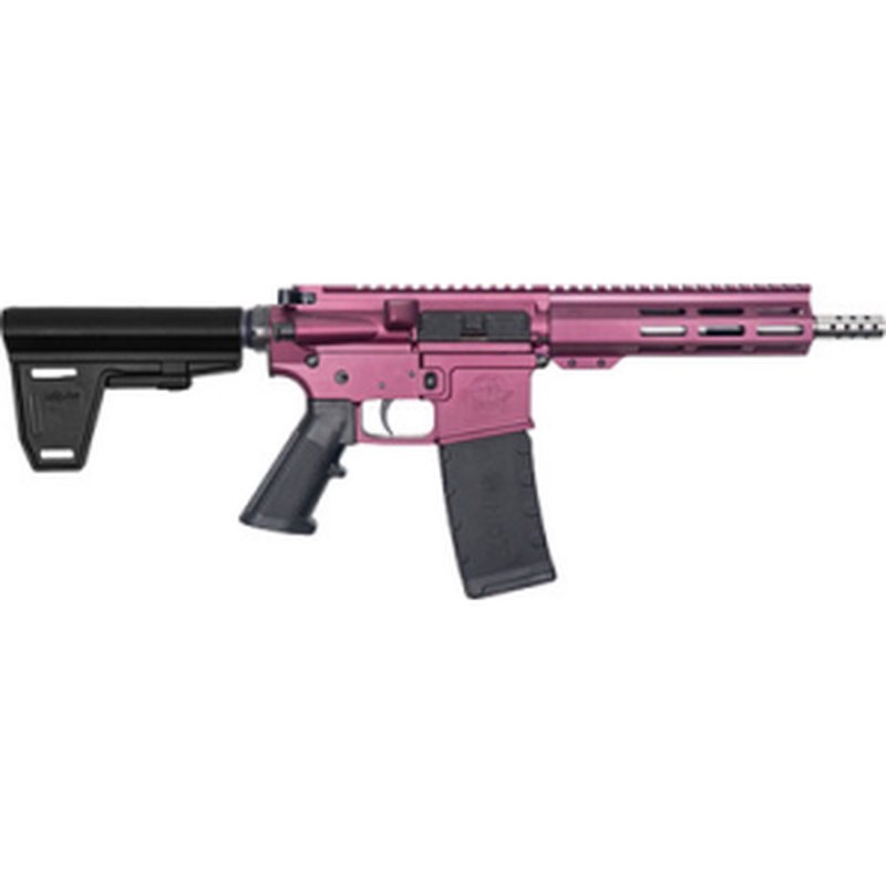 Great Lake Firearms GLFA AR-15 Pistol with Brace .223