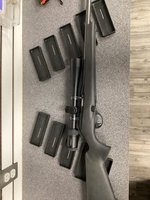 Remington 597 Magnum