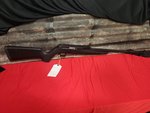 Derya Arms TM22 Standard .22 LR Semi-Auto Rifle