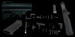 DPMS Panther Arms DP51655159027 AR-15 Pistol Lower Build Kit w/ CAR-15 Adjustable Brace