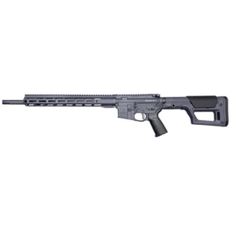Rise Armament Watchman XR 22 ARC Rifle 18in 10rd Slate Gray