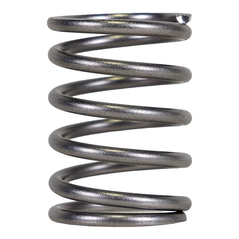 Piston Spring 9 & 45