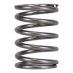 Piston Spring 9 & 45