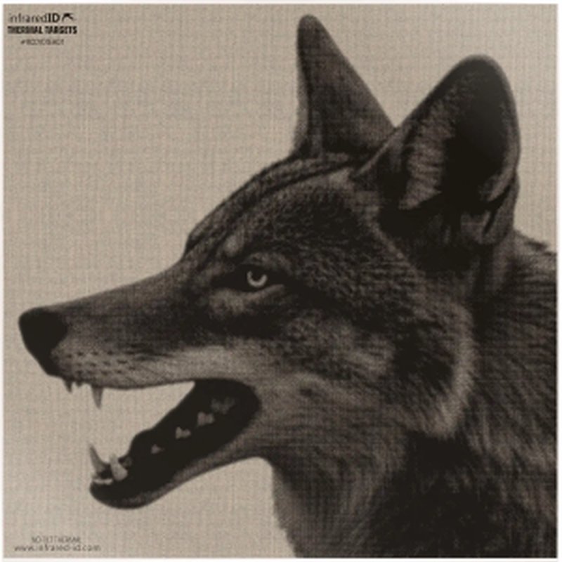 INFRARED-ID RCOYOTEHD1 Thermal Coyote Head Target