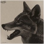 INFRARED-ID RCOYOTEHD1 Thermal Coyote Head Target