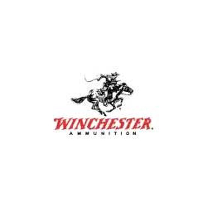 Winchester 22 Hornet 46gr Hollow Point Ammunition