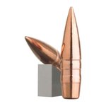 Lehigh 04308150SP Match Solid .308C 150gr Ammunition