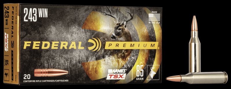 Federal Premium Barnes Triple Shock X TSX 243 Win Rifle Ammunition