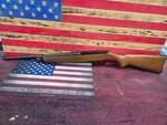Ruger Ruger Carbine .44 Magnum Carbine 18in Barrel Blue Steel