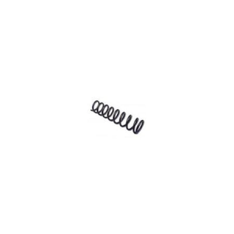 Kimber Recoil Spring 22LB