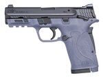 Smith & Wesson M&P380 Pistol .380 ACP 3.6 Inch Barrel