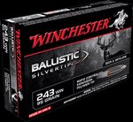 Winchester Ballistic Silvertip Ammunition