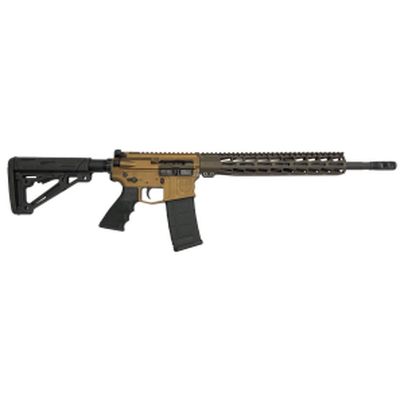 DS-15 Typhoon Standard AR-15 Semi-Auto Rifle 5.56 NATO 16"
