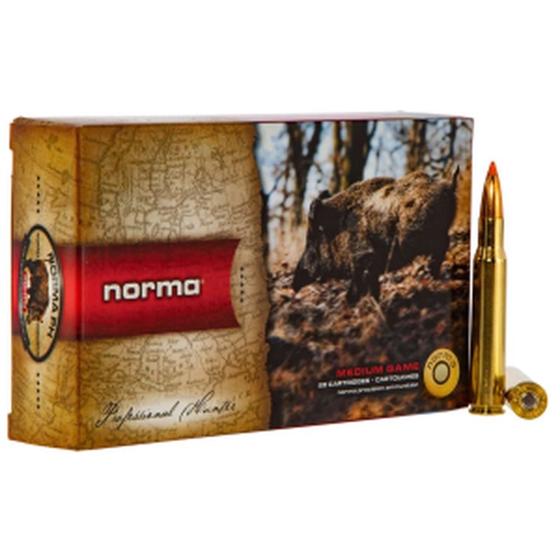 Norma RUAG 20174342 TIPSTRIKE .30-06 170gr FBT Flat Base Tipped Hunting Ammo