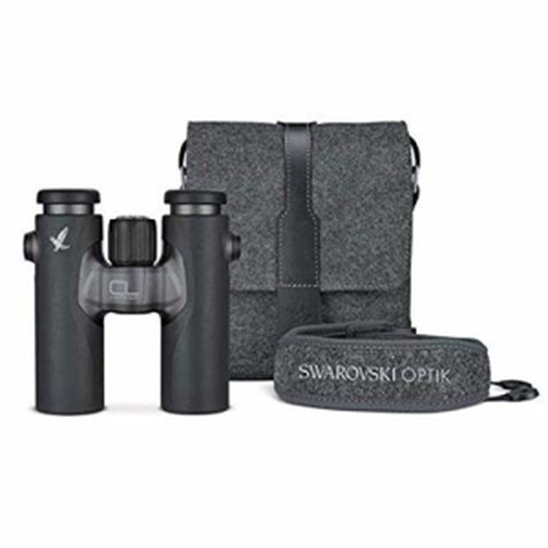 SWAROVSKI CL Companion 8x30 Anthracite/Charcoal Northrn Lght