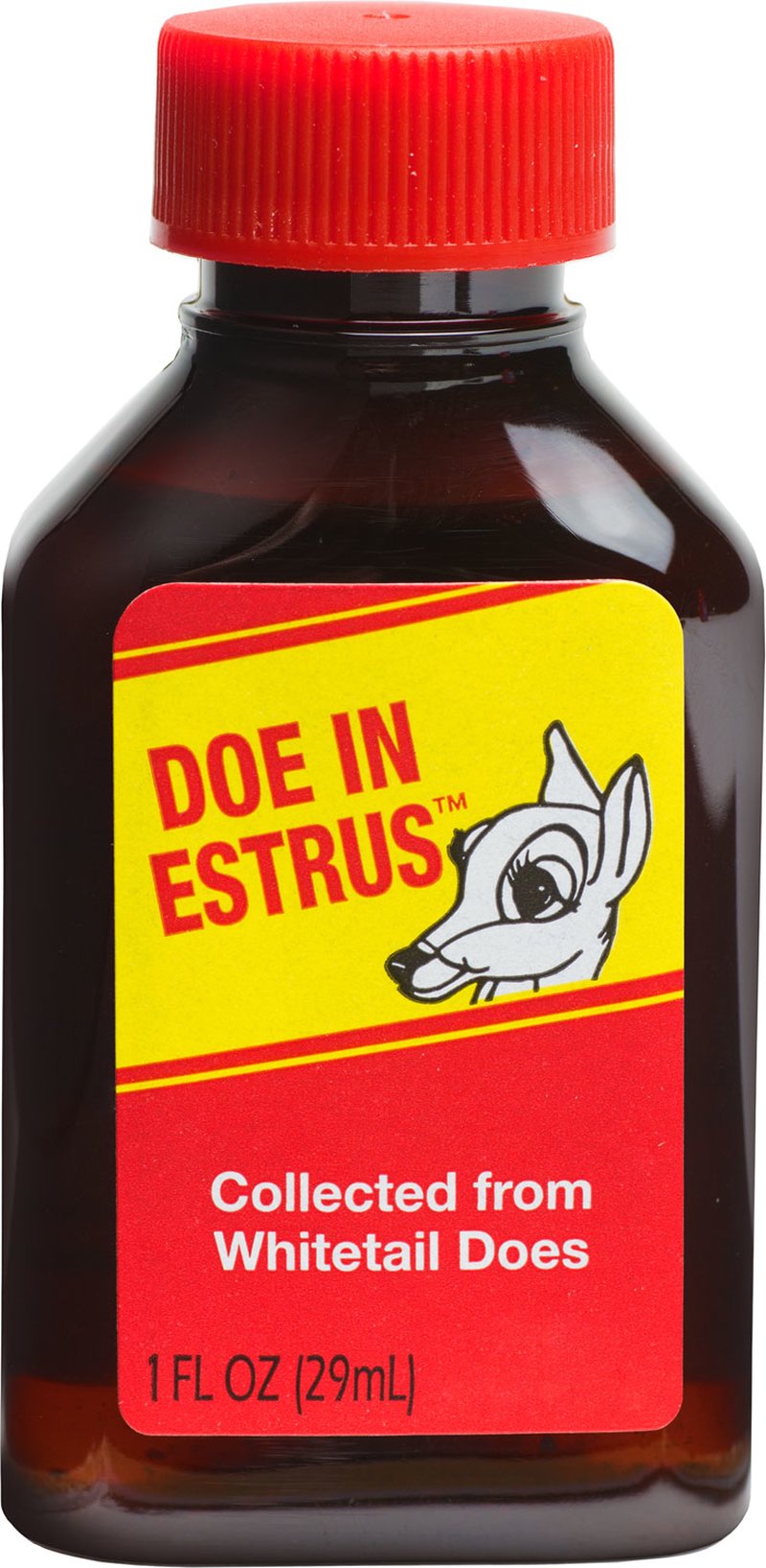 Wildlife Research Doe In Estrous