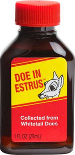 Wildlife Research Doe In Estrous