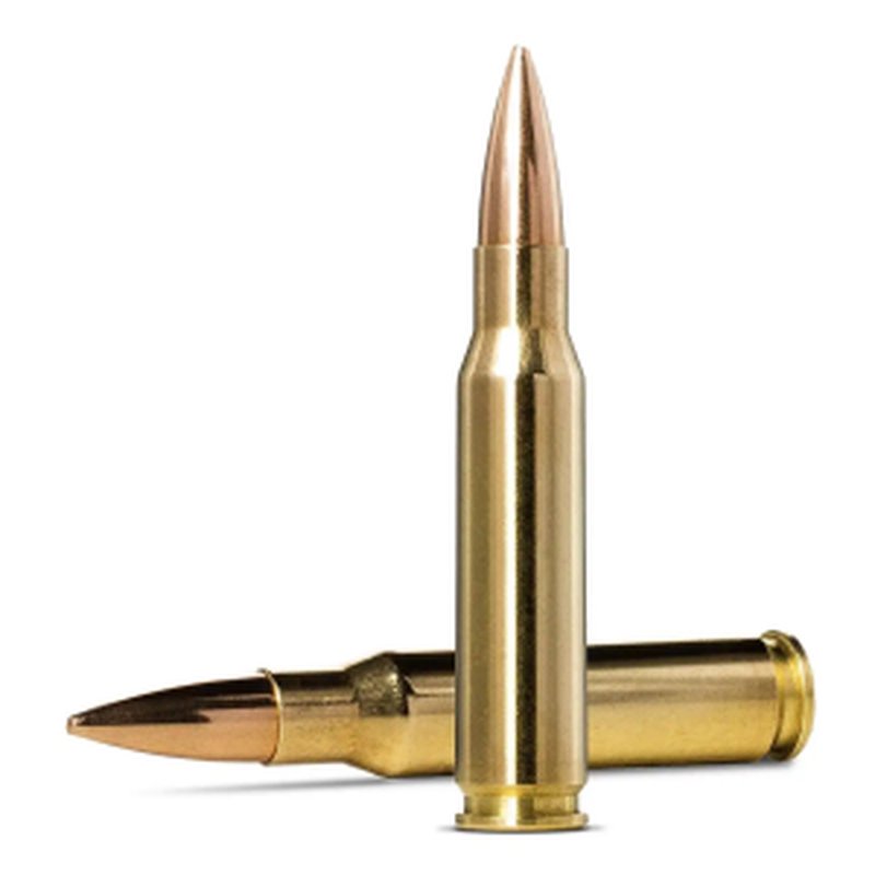 Norma GLD Target 308 Win 175gr Rifle Ammunition