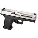 Lone Wolf LTD19 V1 RMR 9mm Pistol 4 Inch Barrel Matte Black