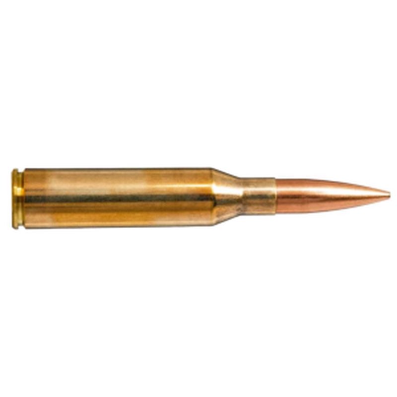 Norma Ammunition 20185272 Dedicated Precision Sierra MatchKing 338 Norma Mag 300gr Sierra HPBT