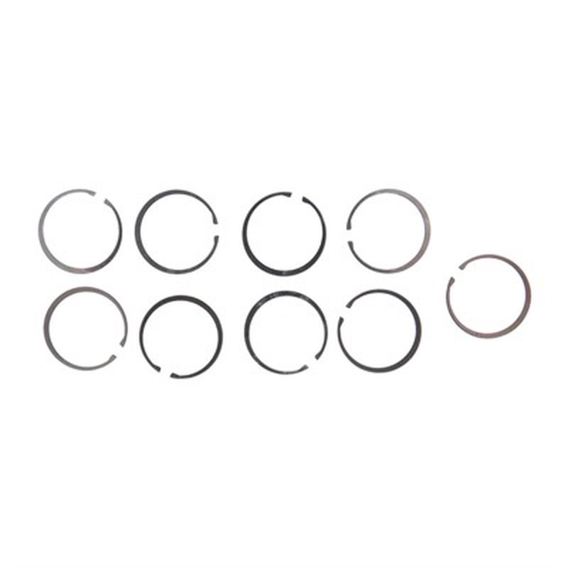 SPRINCO USA AR .308 BOLT & GAS RINGS