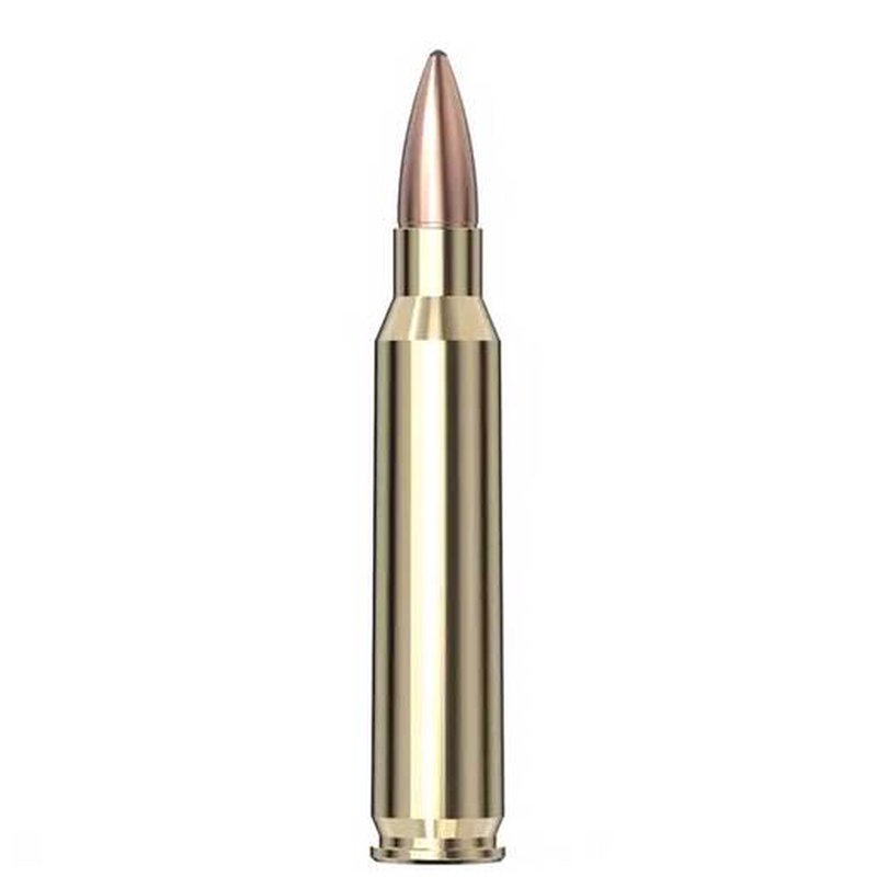 Hornady Frontier 5.56mm NATO 55gr FMJ Rifle Ammo (500 Rounds)