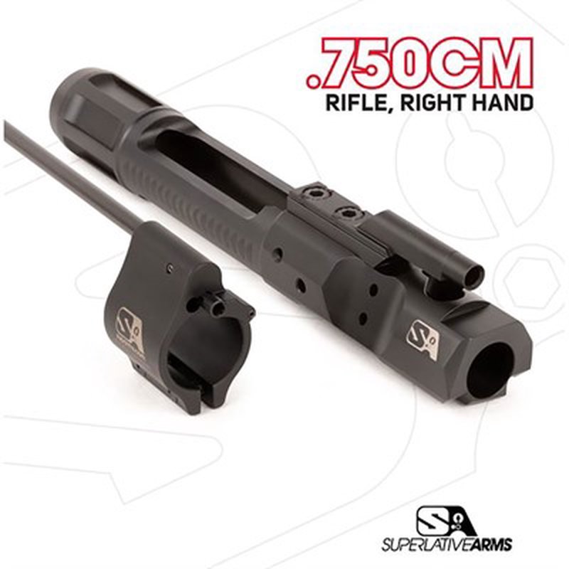 AR-15 .750 GAS BLOCK W/ FLIP-UP COMBAT SIGHTS
