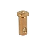 LanTac CP-R360 5.56 NATO AR-15 Cam Pin, Brass
