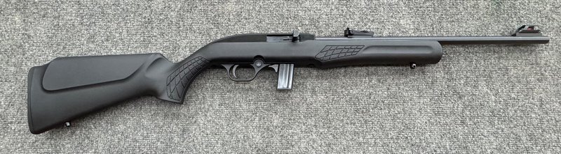 Rossi RS22 .22 LR Semi-Auto Rimfire Rifle